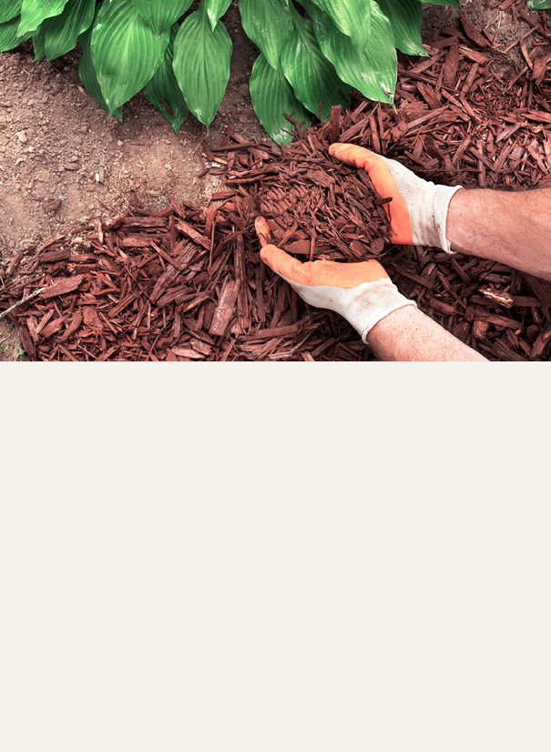 Soils, Mulch & Bark