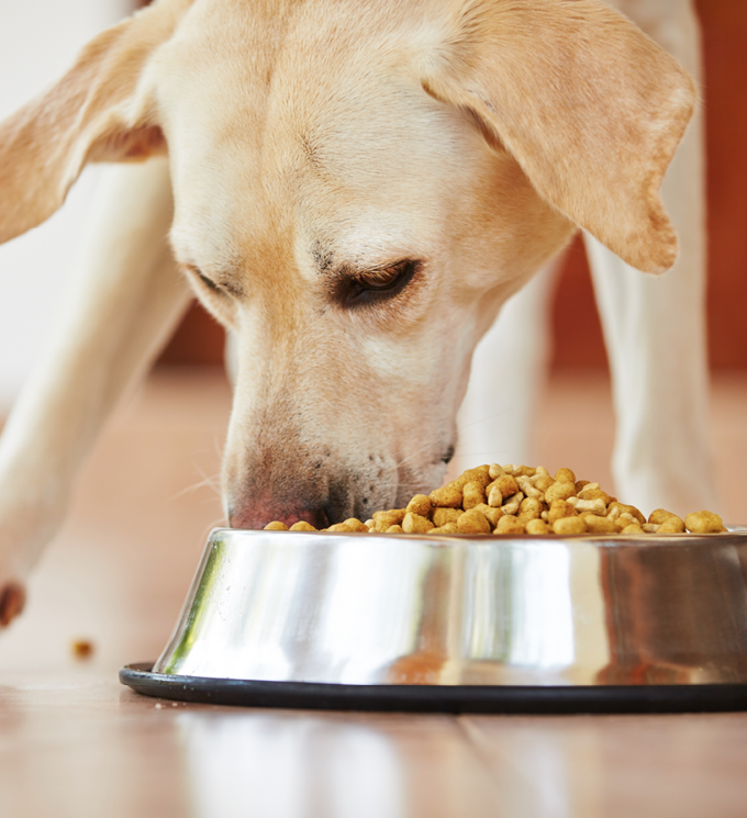 category block image