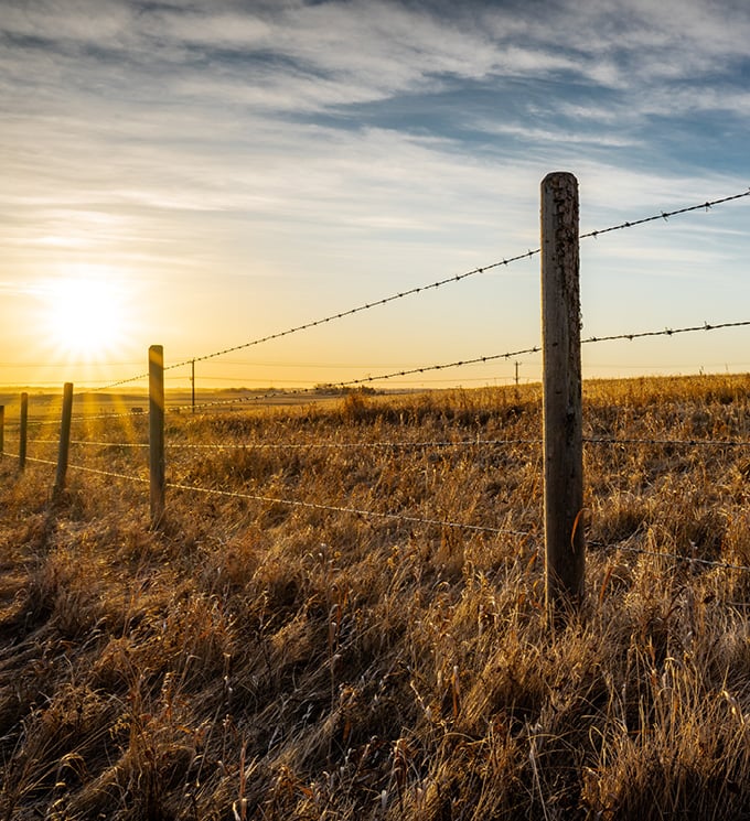 category block image