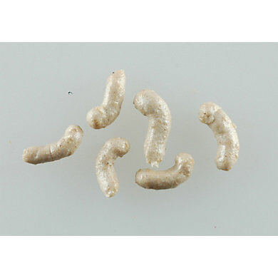 Gulp! Alive! Maggots